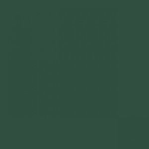 Meet your Posher, Alivia